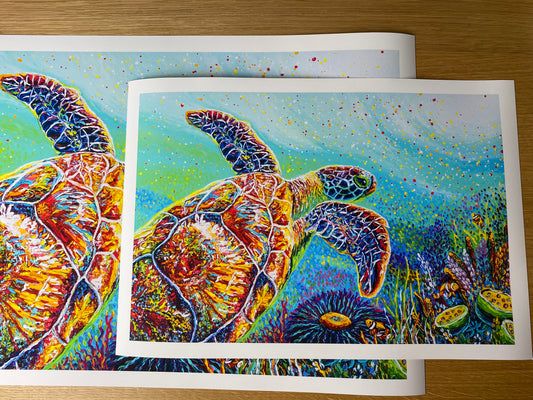 "Be Still" Green Sea Turtle and Friends - Giclée Fine Art Print