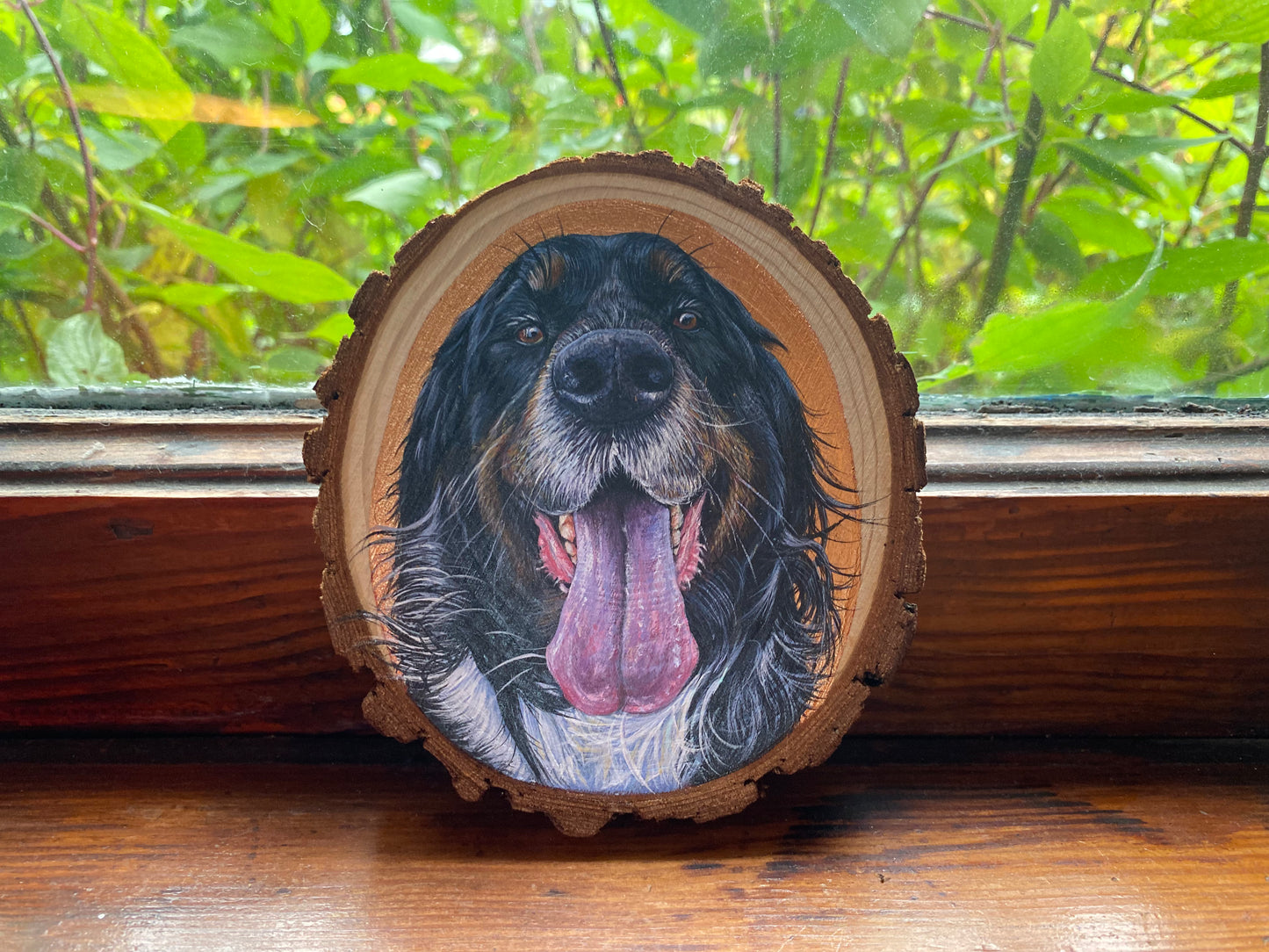 Custom Hand Painted Pet Portraits