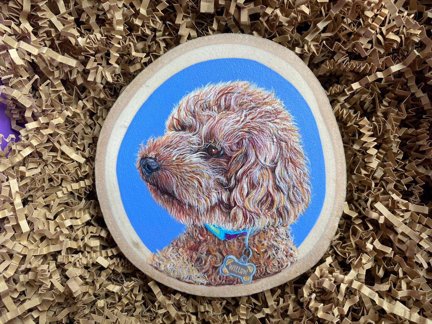 Custom Hand Painted Pet Portraits