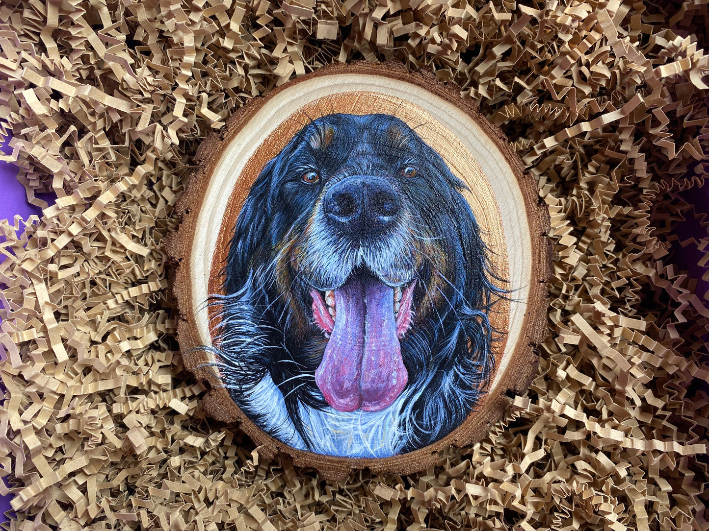 Custom Hand Painted Pet Portraits