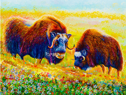 "Fall Vibes"  - Musk Ox in Alaska - Original Oil Finger Painting